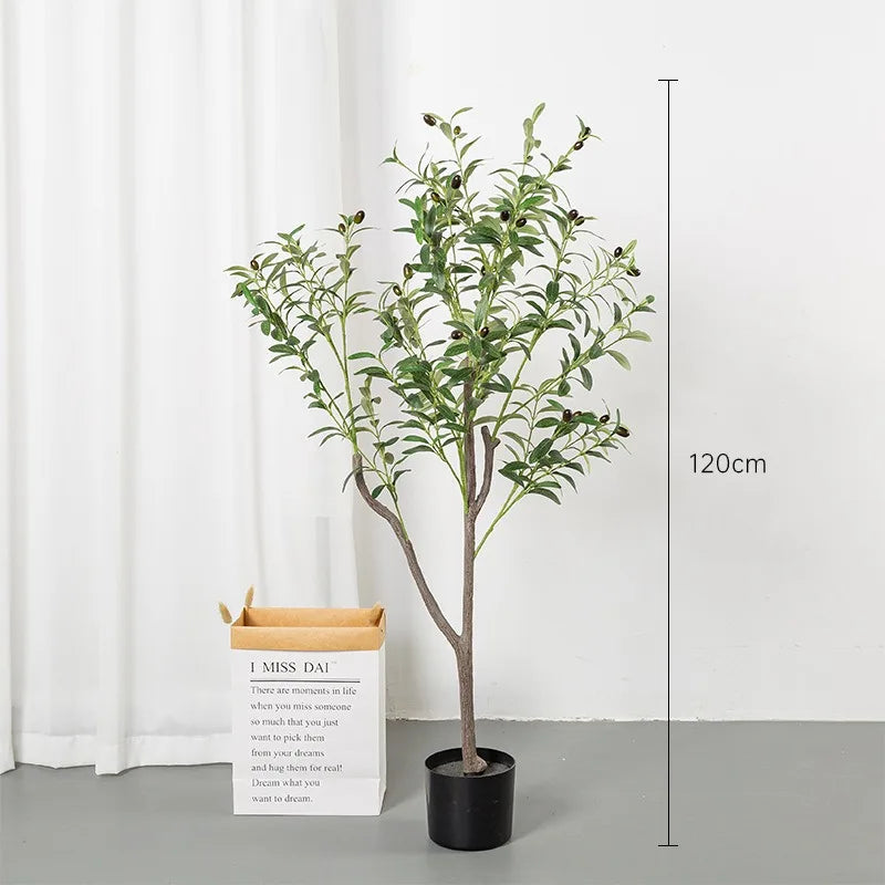 Olivaire Grace Tree