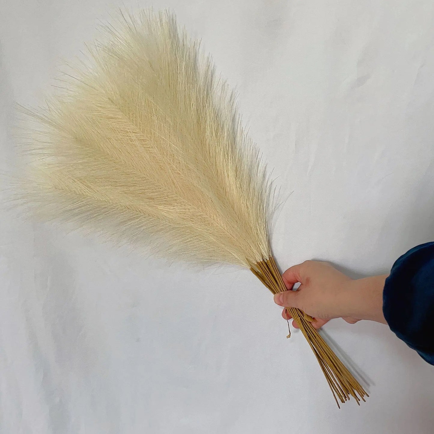Solmira Grass
