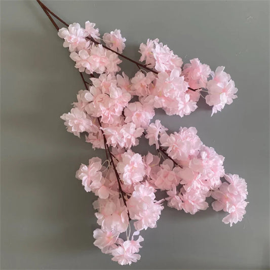 Blossira Branch