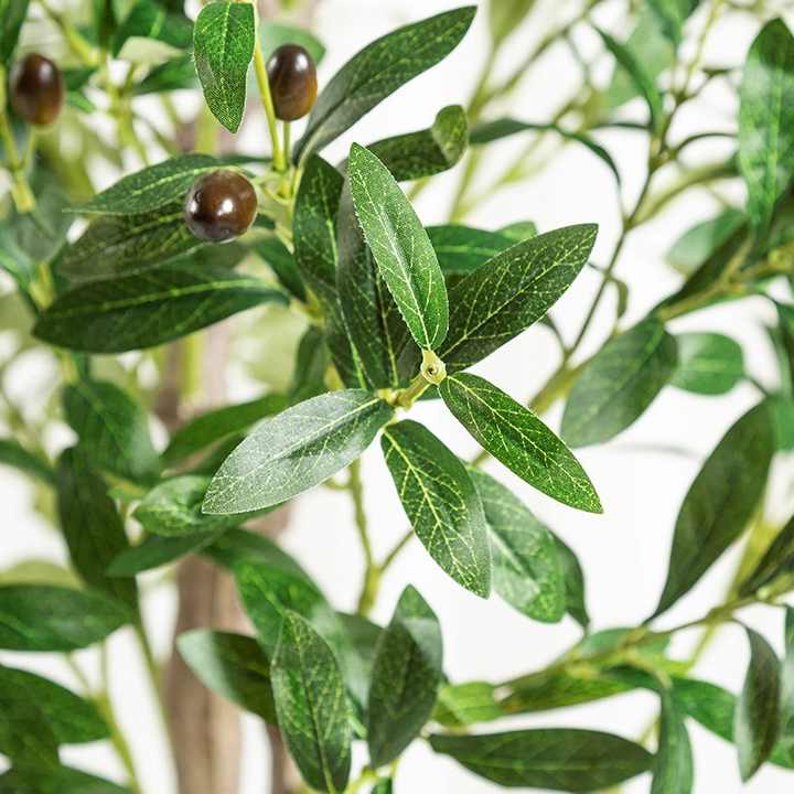 Olivaire Grace Tree