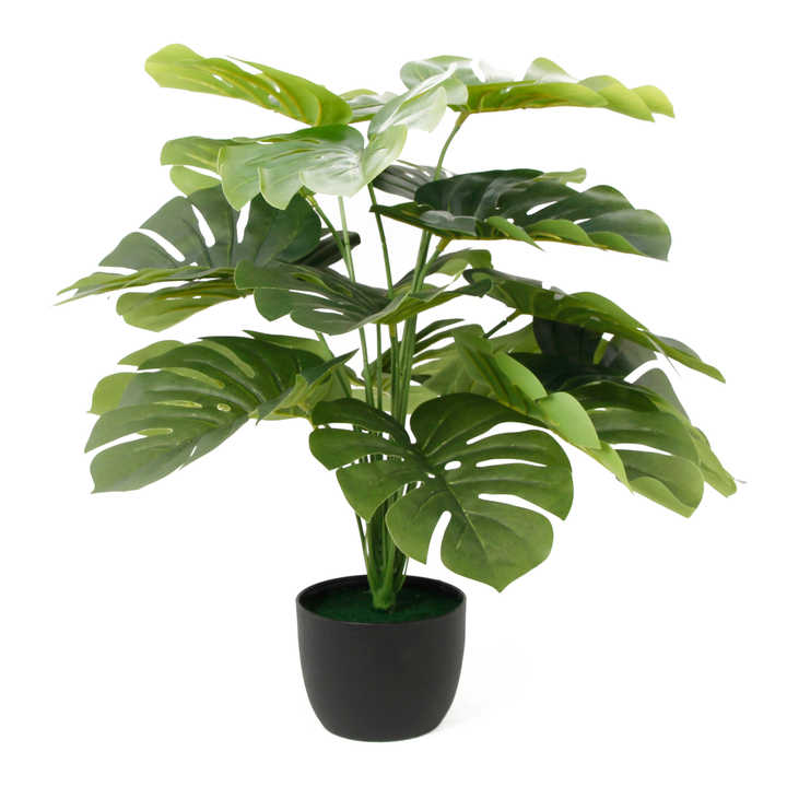 Monterra Touch
