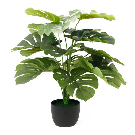 Monterra Touch