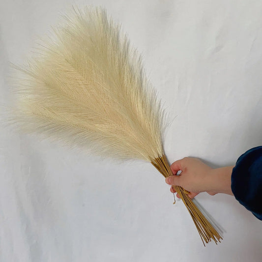 Solmira Grass