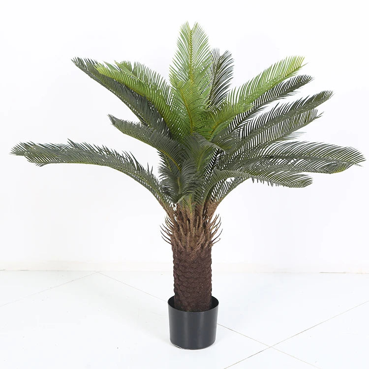 Palmera Glow