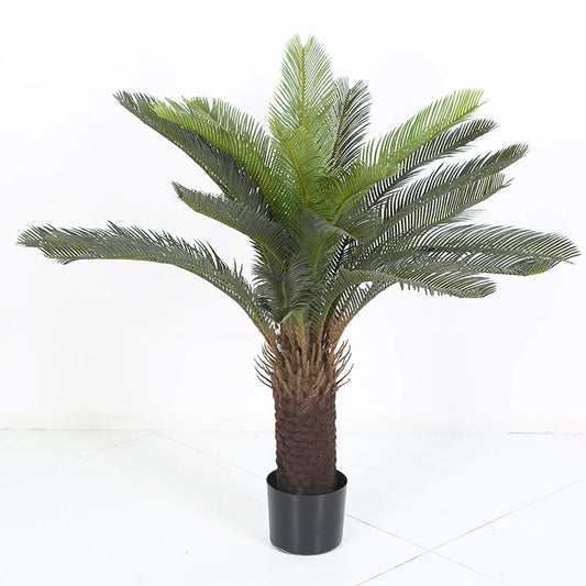 Palmera Glow