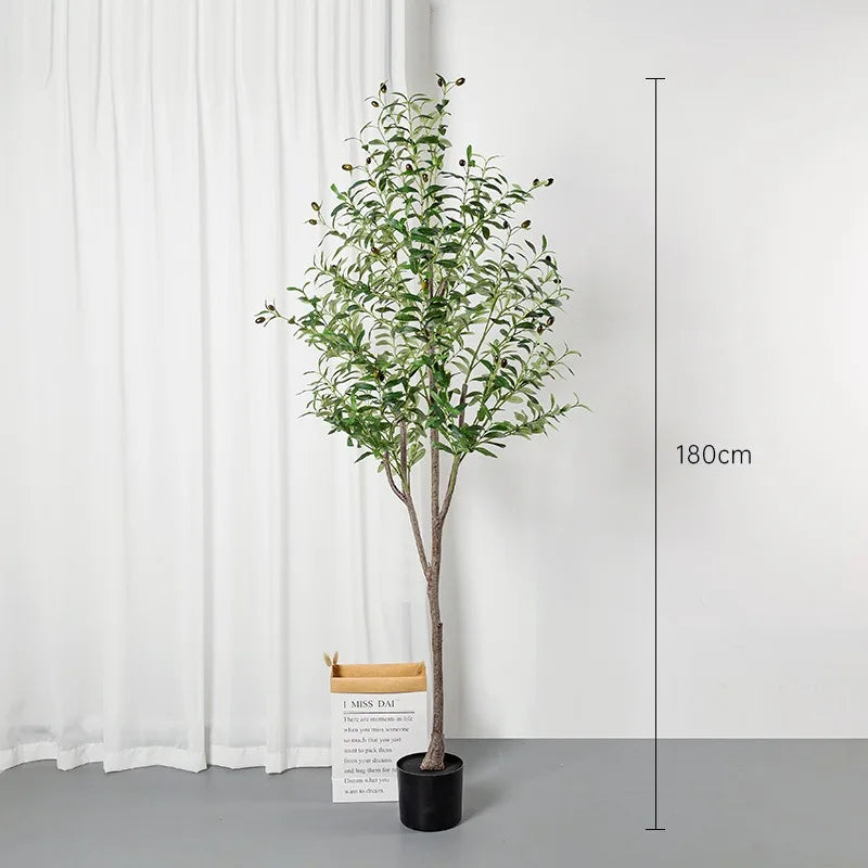 Olivaire Grace Tree