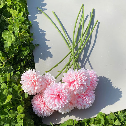 Blosselle Glow