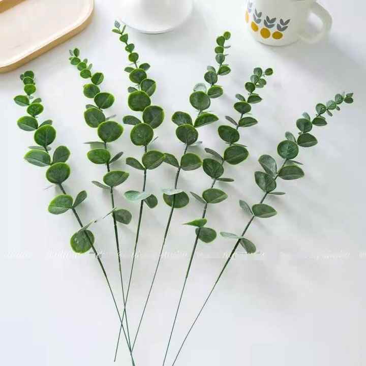 Eucalara Silk