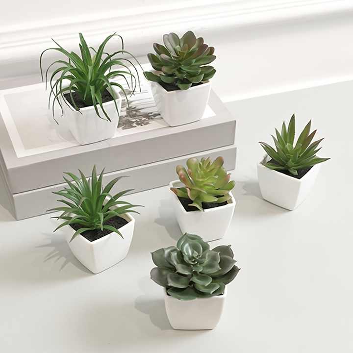 Minvera Greens
