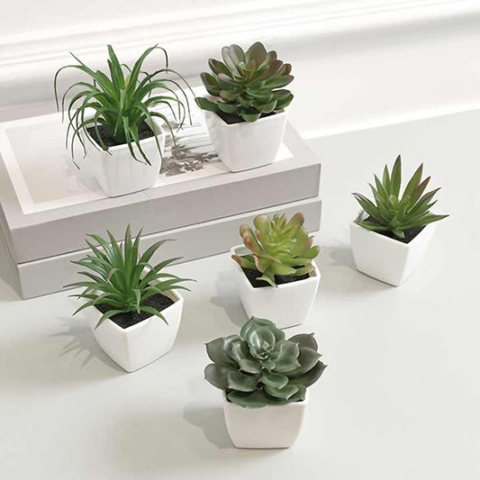 Minvera Greens