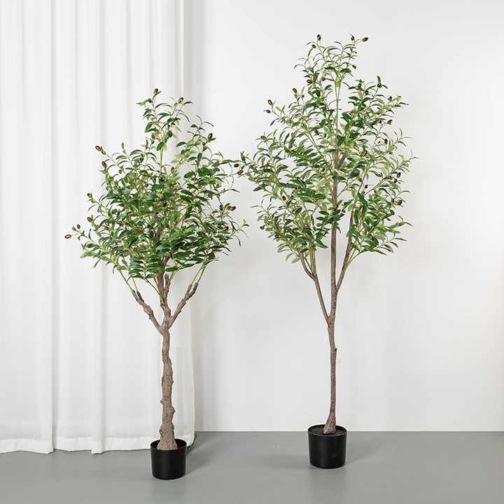 Olivaire Grace Tree