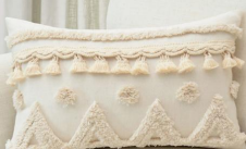 Pillows & Cushions Cases