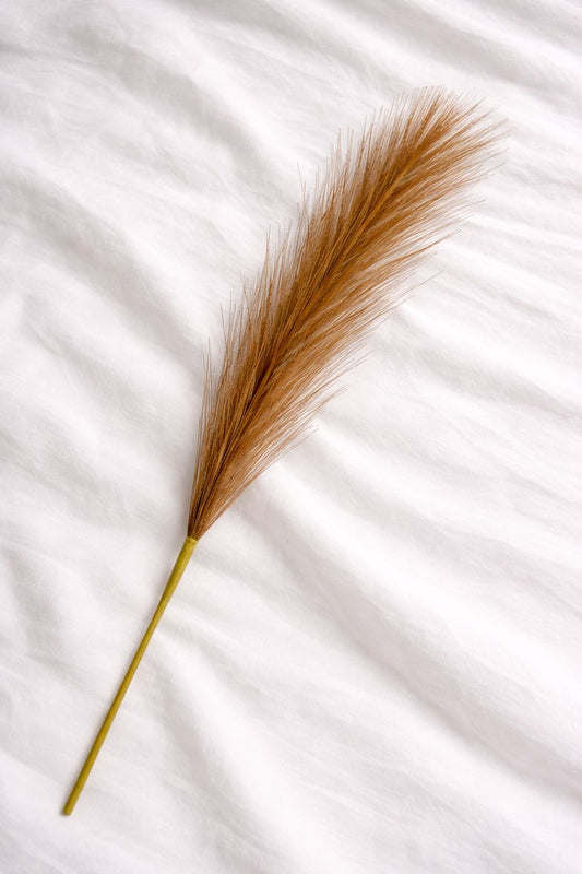 Solmira Grass