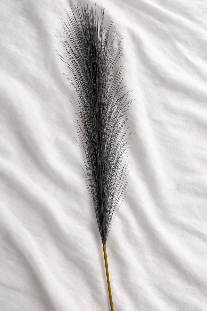 Solmira Grass