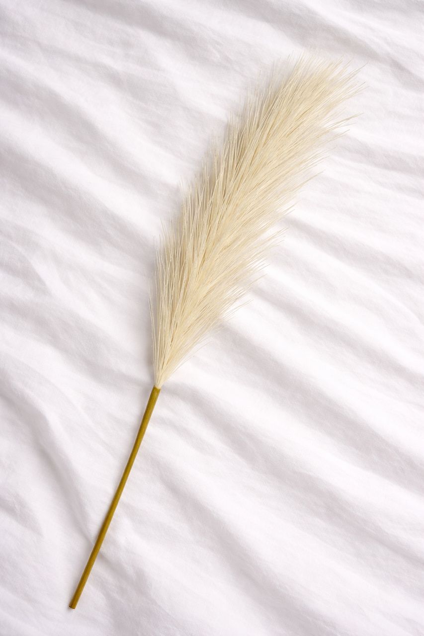 Solmira Grass