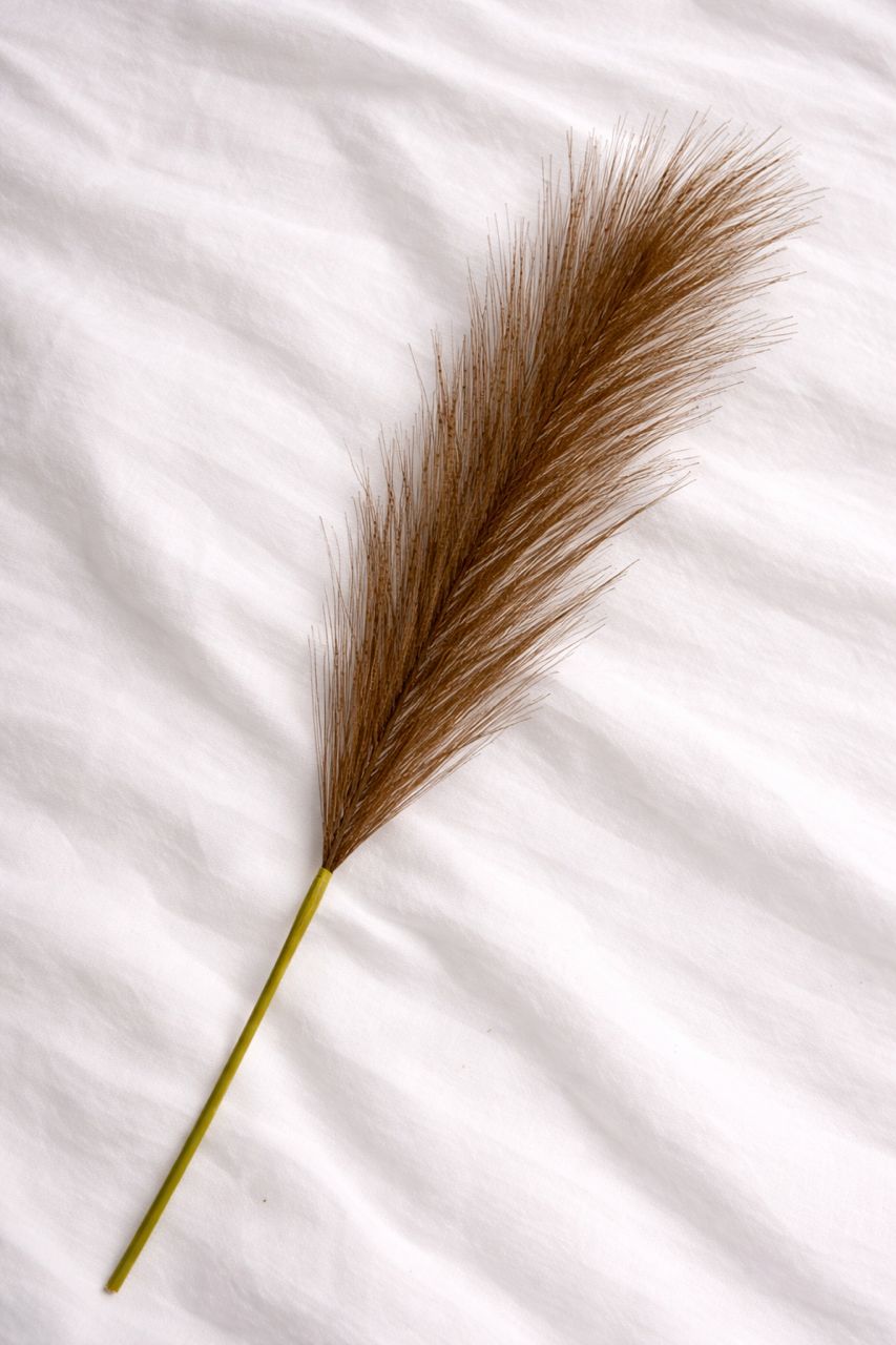 Solmira Grass